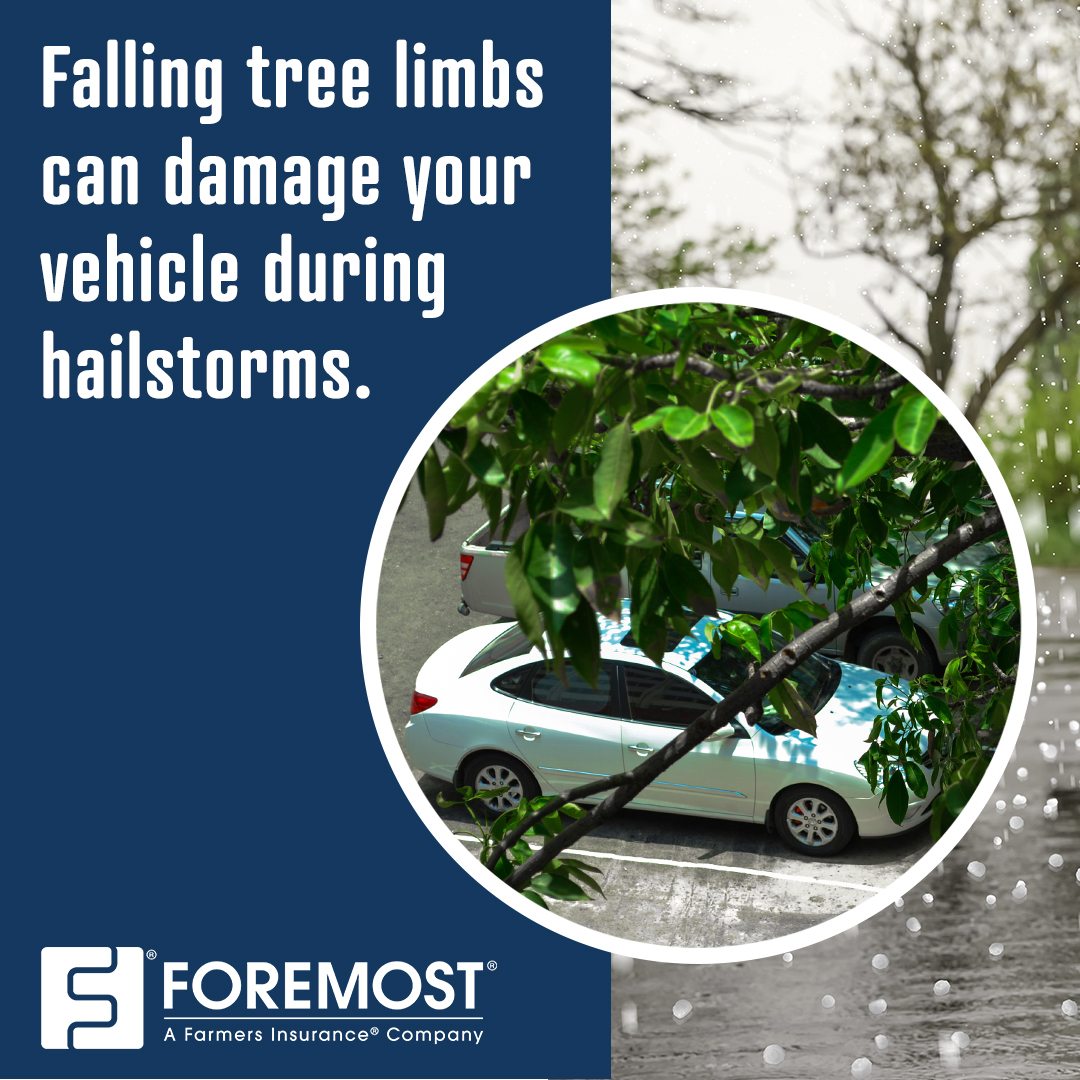 “Falling tree limbs can damage your vehicle during hailstorms” text on top of an image of a vehicle parked close to a tree.